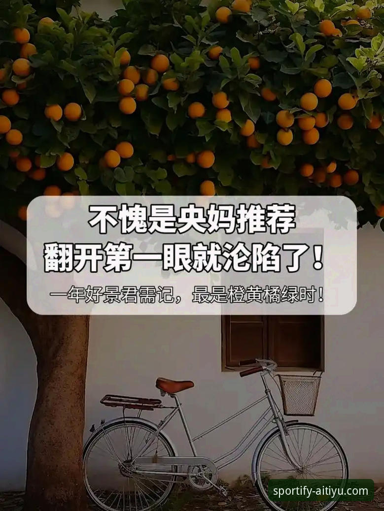 3个关键维度解读爱体育官方入口哪个好：2024年平台选择指南